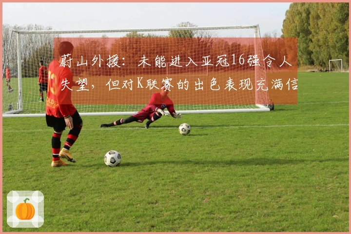 蔚山外援：未能进入亚冠16强令人失望，但对K联赛的出色表现充满信心