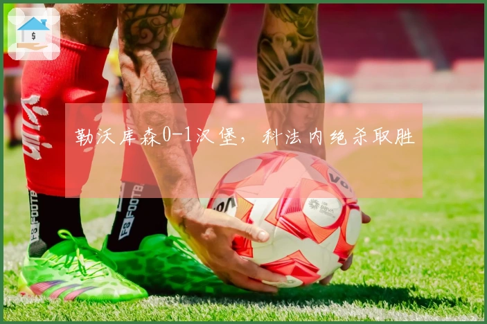 勒沃库森0-1汉堡，科法内绝杀取胜