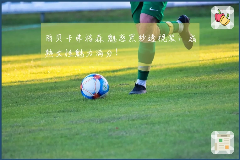 丽贝卡弗格森 魅惑黑纱透视装，成熟女性魅力满分！