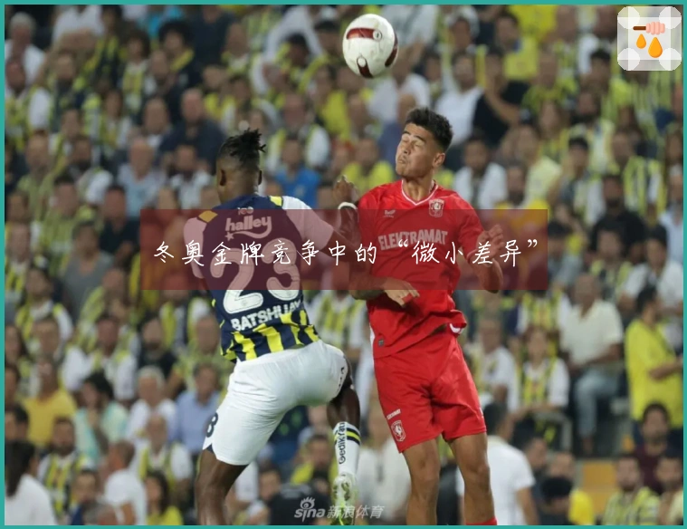 冬奥金牌竞争中的“微小差异”